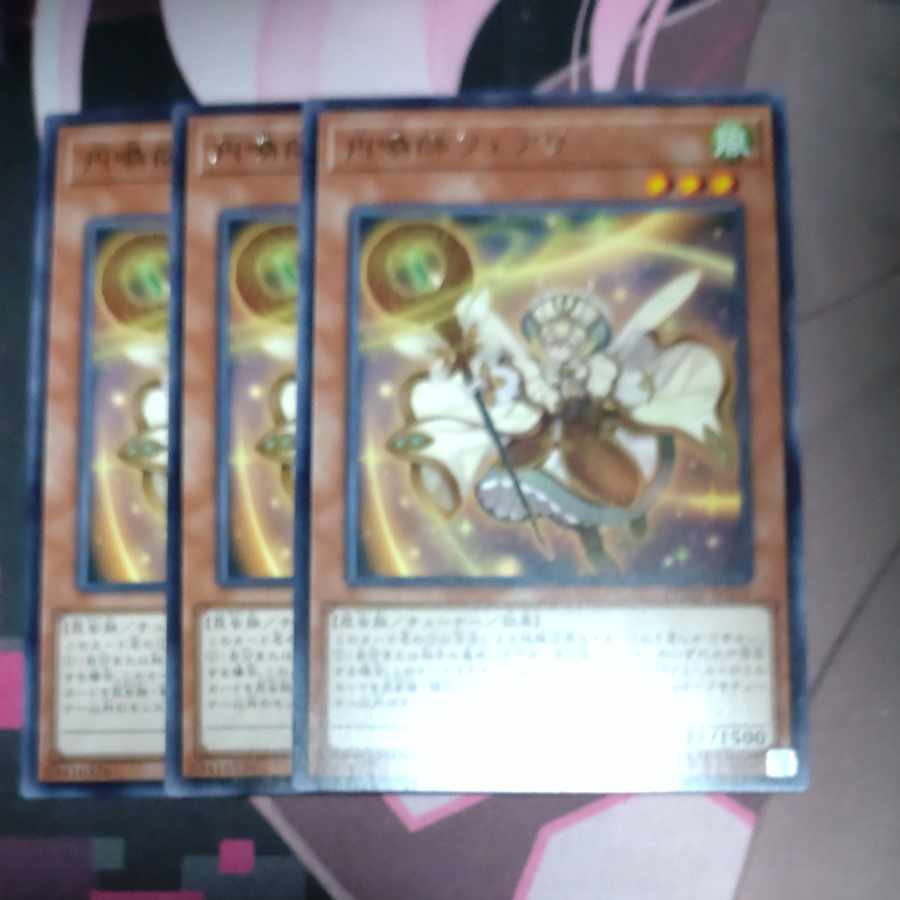 Envoker Fairey, Rare JP025 3 copies