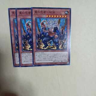 重の忍者-磁翁 ノーマル JP017