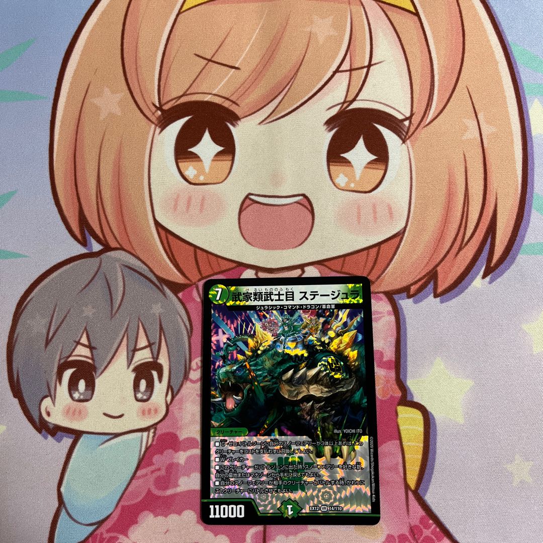 Samurai family Samurai order Stejura, VR 14/110.