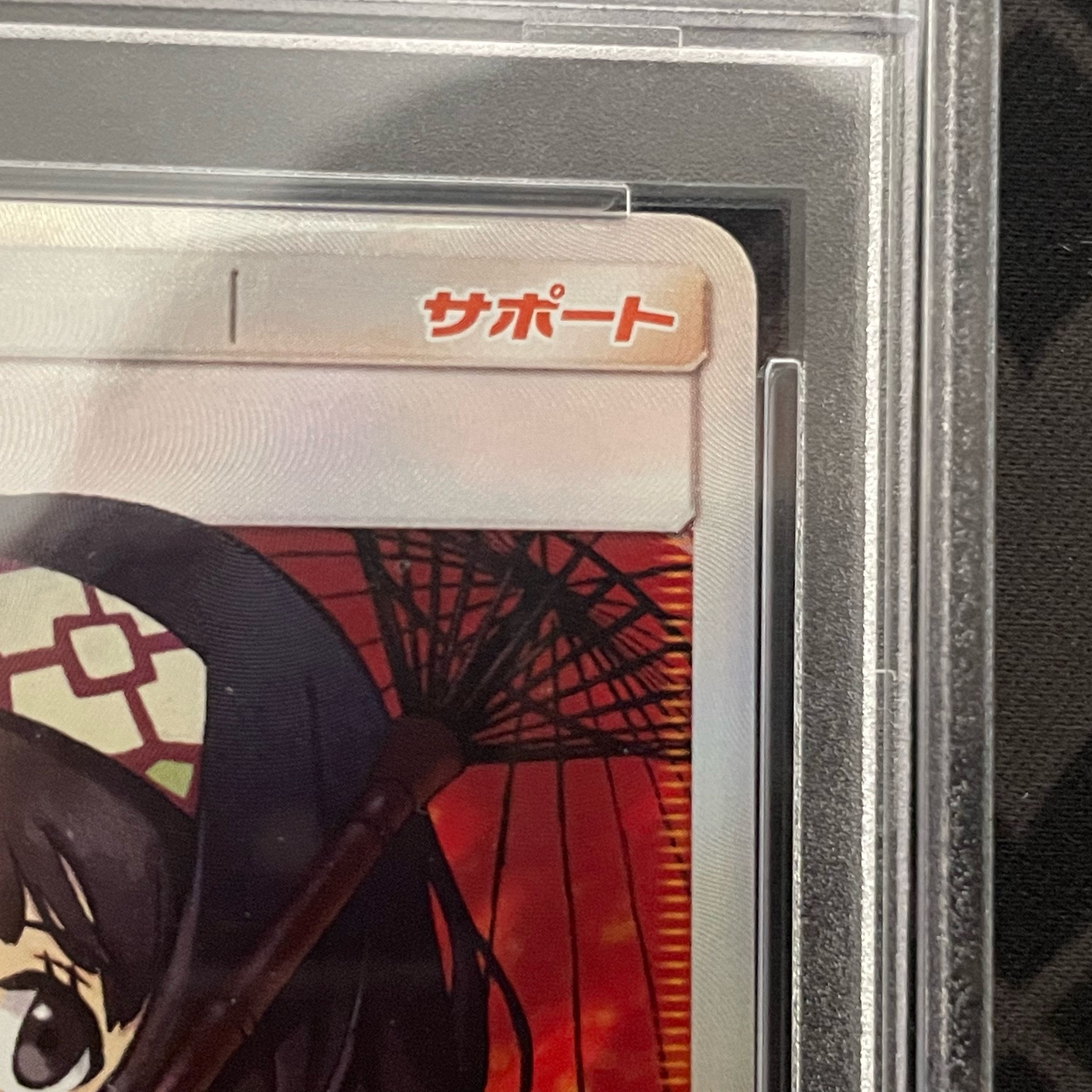 [PSA10] Erika's Hospitality SR 190/173