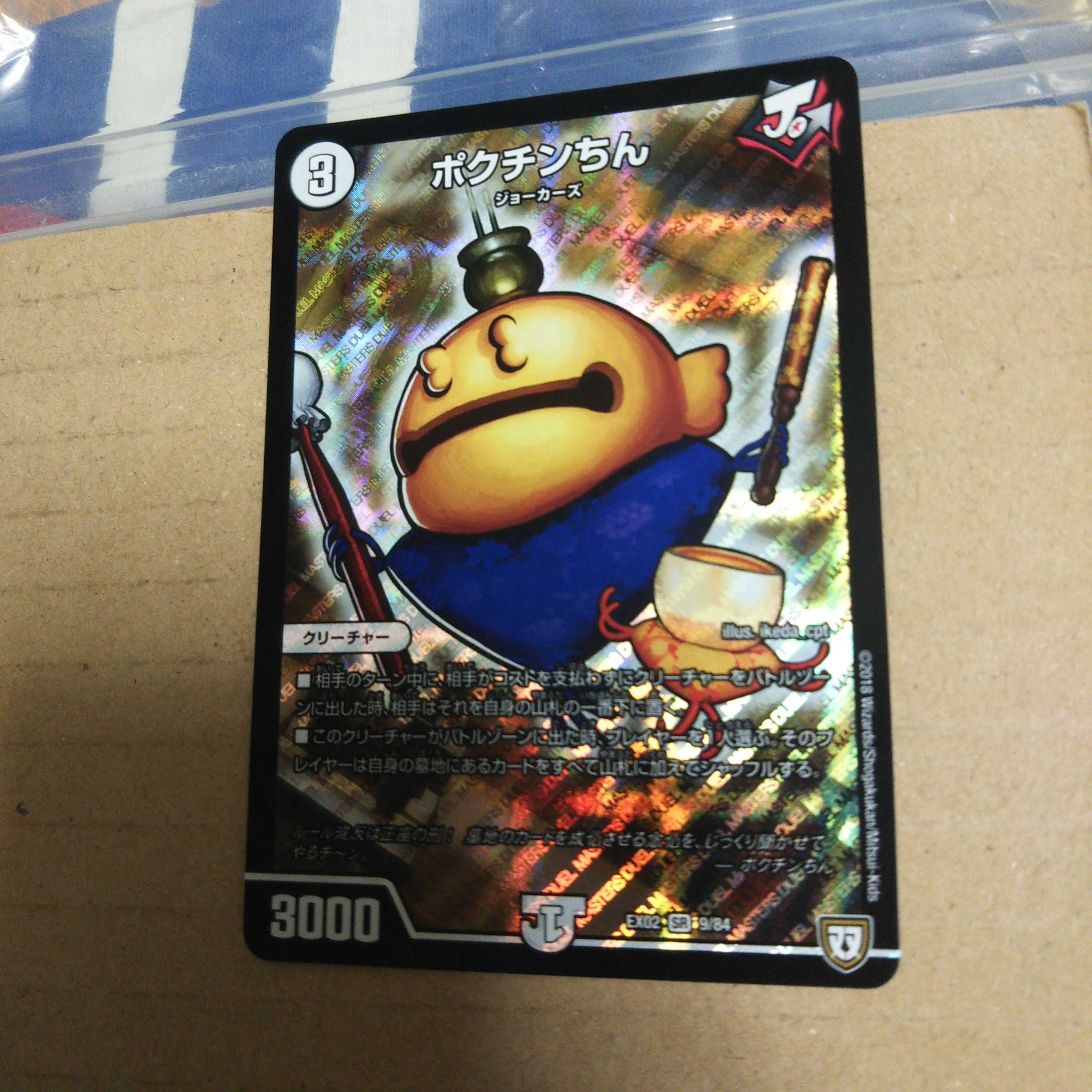 Pokuchin Chin SR 9/84