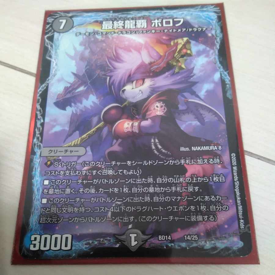 Final Dragon Heights Borov 14/25