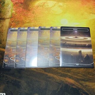 Amphinity Plains 6-piece set 6枚