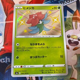 ヒメンカ S 209/190 色違い