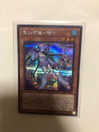 電脳堺媛-瑞々 シークレットレア JP010