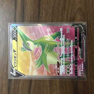 ビリジオンV SR 074/067