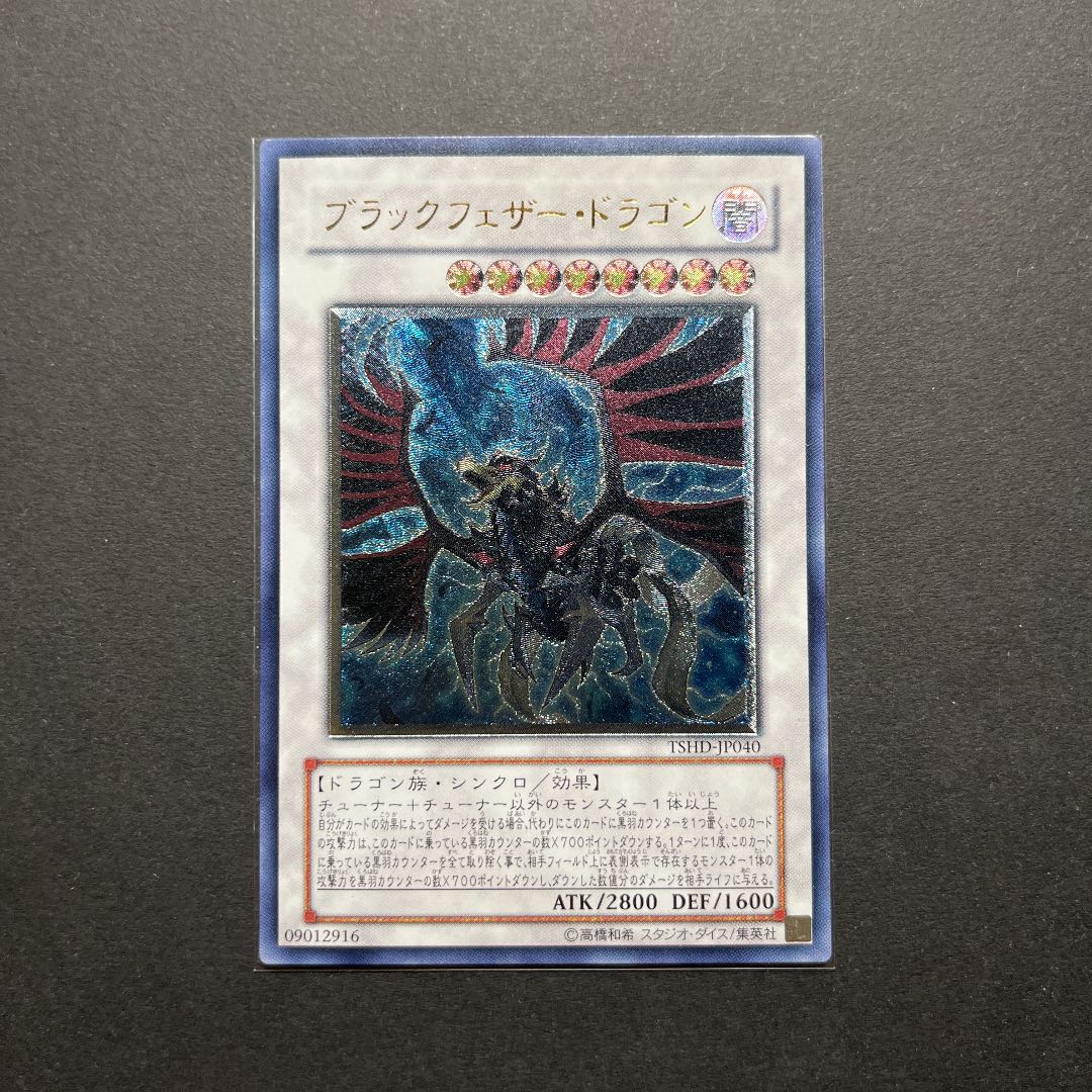 【準美品】遊戯王　ブラック・フェザー・ドラゴン　レリーフ