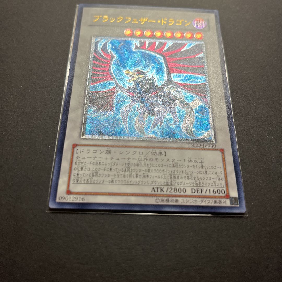 【準美品】遊戯王　ブラック・フェザー・ドラゴン　レリーフ