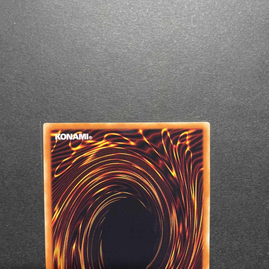 【準美品】遊戯王　ブラック・フェザー・ドラゴン　レリーフ