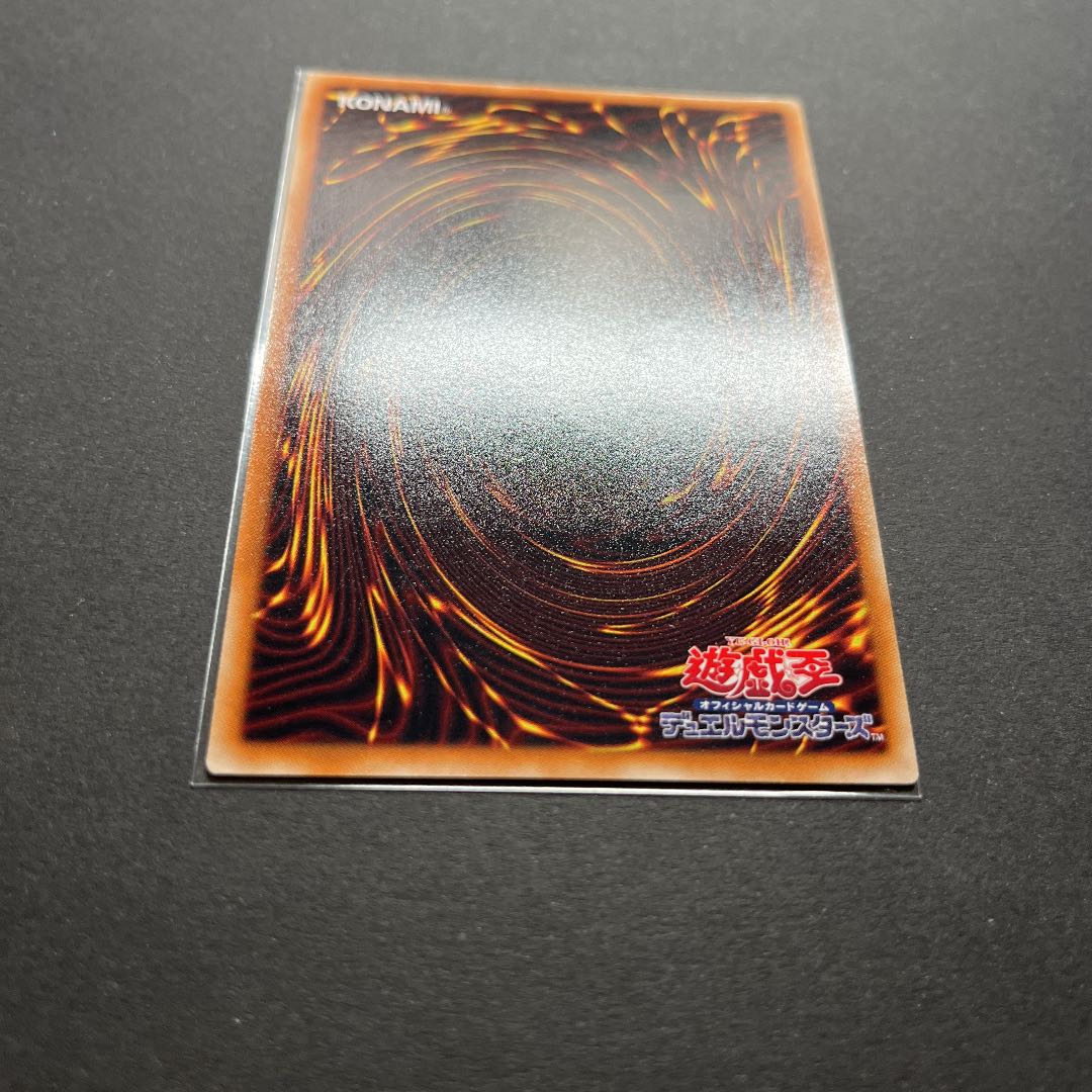 【準美品】遊戯王　ブラック・フェザー・ドラゴン　レリーフ