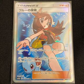 ブルーの探索 SR 196/173