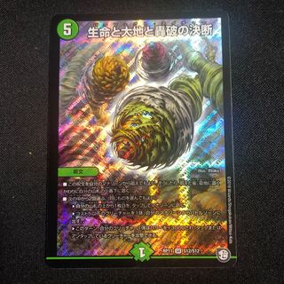 Life Life, Earth and Roaring Decision SR S12/S12