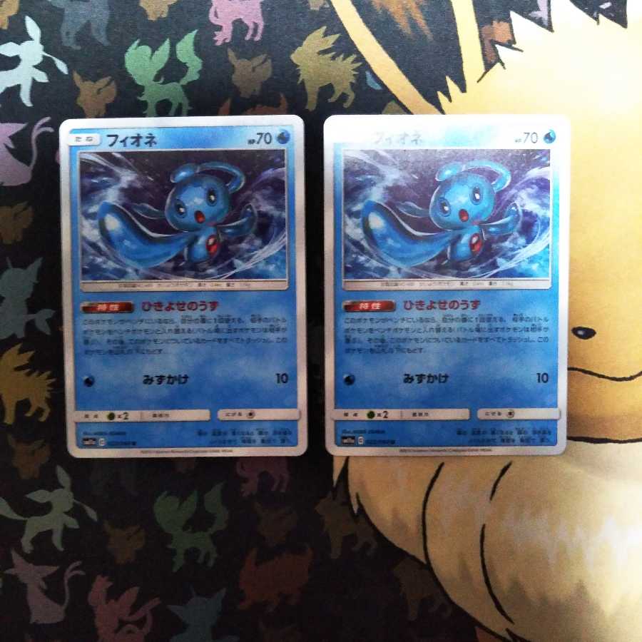 フィオネ2枚セット