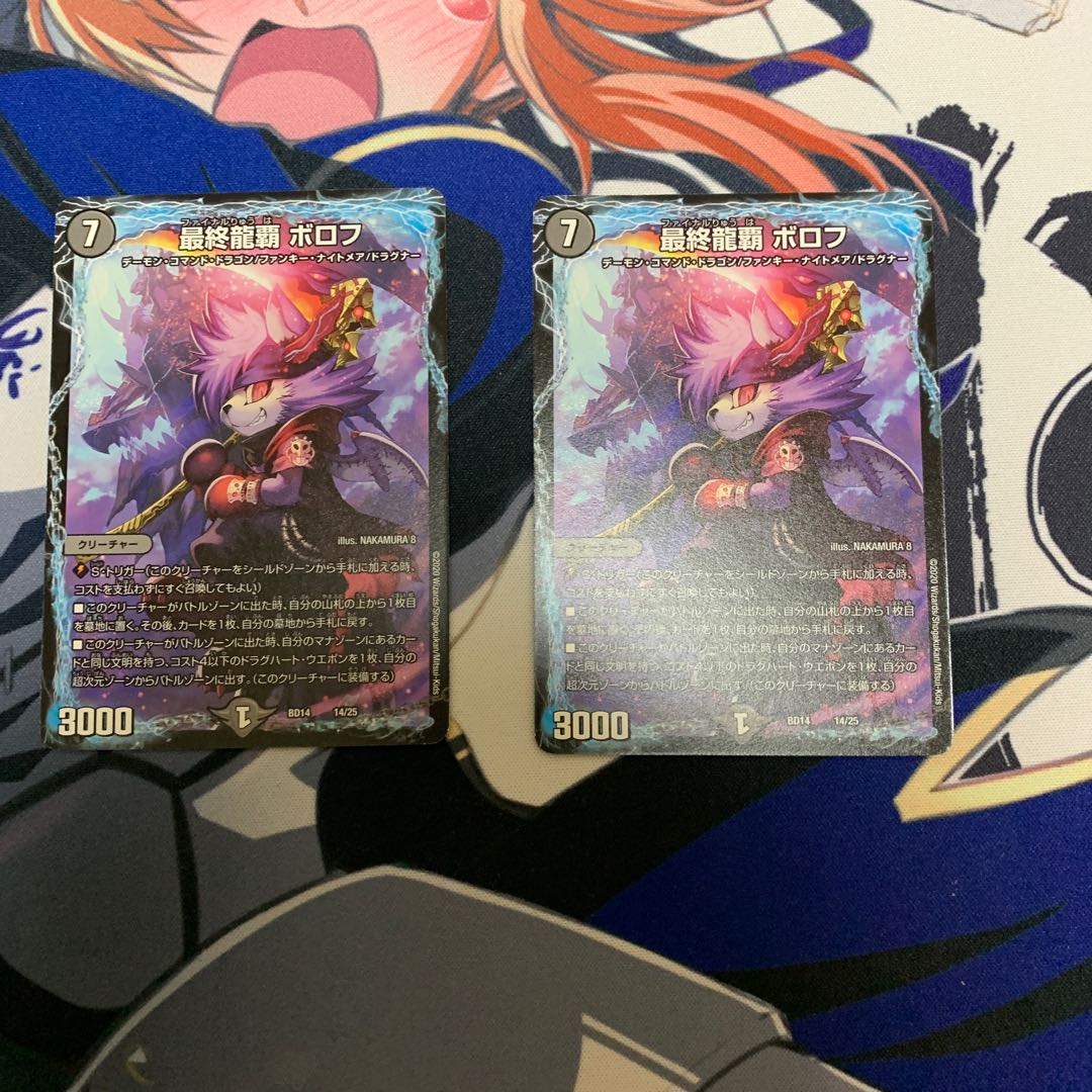 Final Dragon Heights Borov 14/25