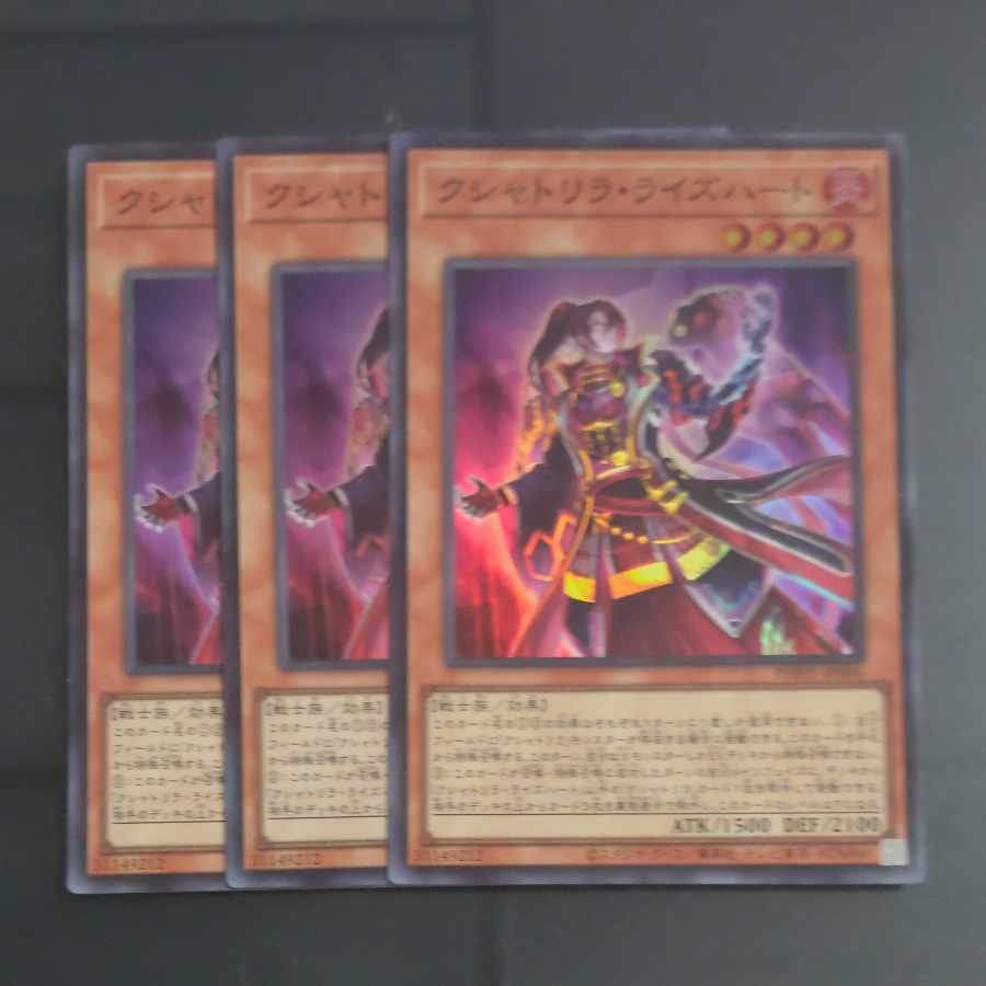 Kshatrira Rise Heart Super Rare JP006✕3 [Korindo].
