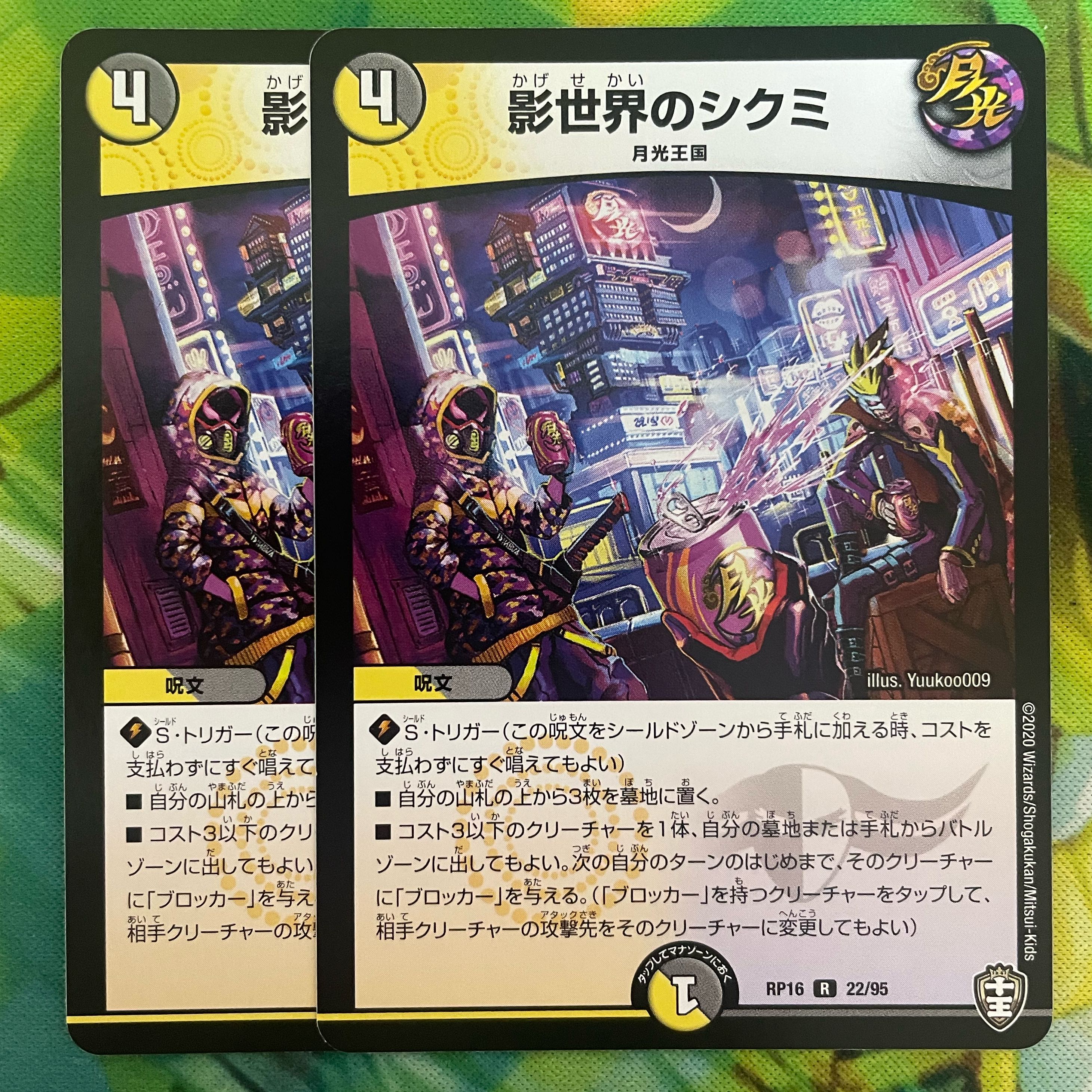 Shikumi in the shadow world R 22/95