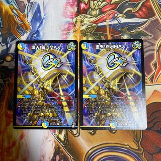 Proten! Ginga MAX R 24/95 Set of 2