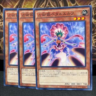 No.1227 P屋 Prediction Princess Petalelf [no