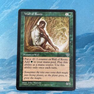 MTG 根の壁