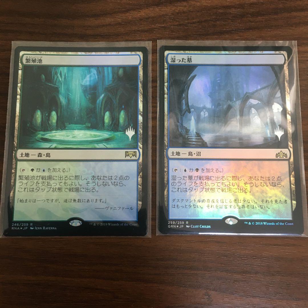 湿った墓　繁殖池　foil プロモ