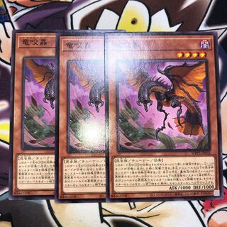 Dragonbite bugs Normal JP032