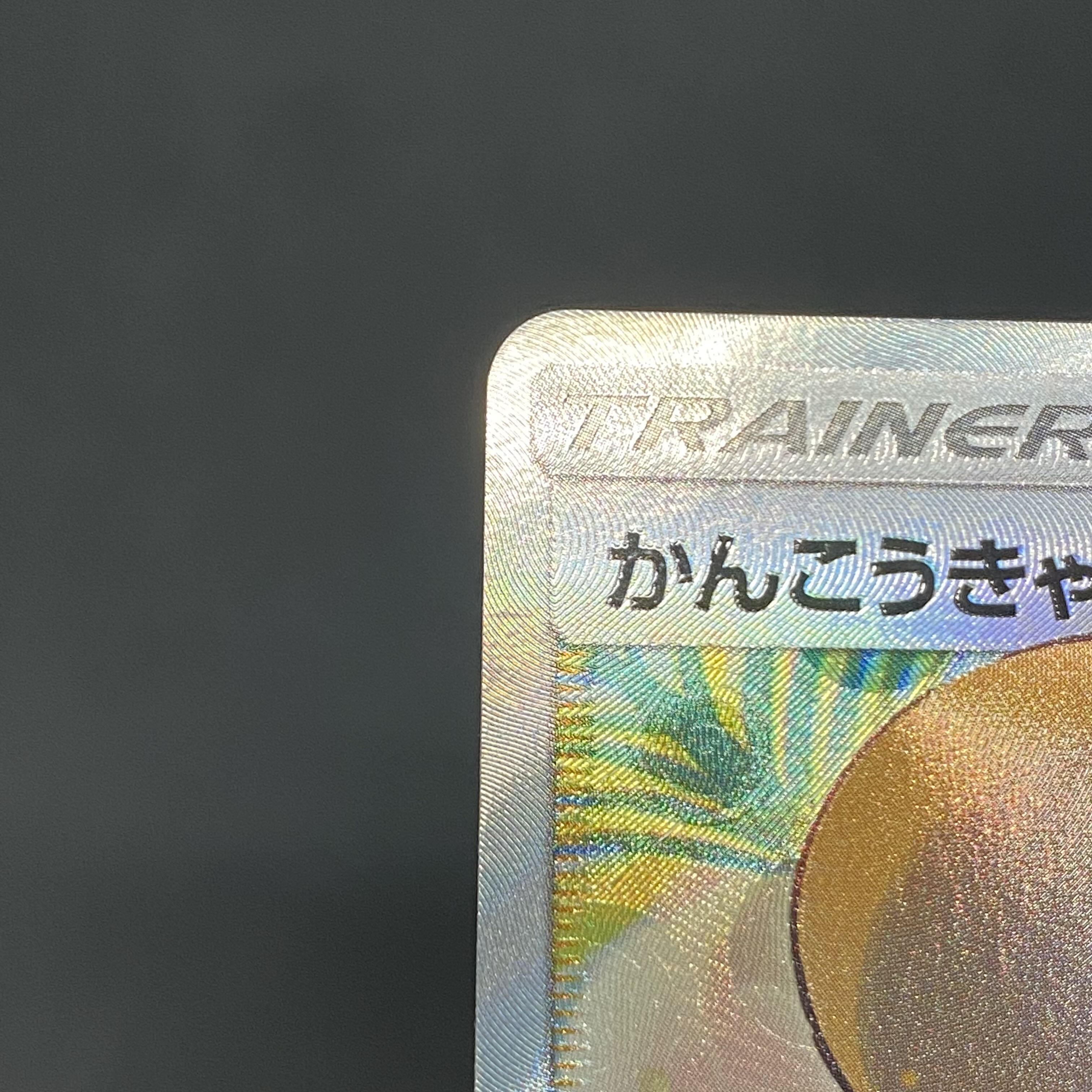 Sightseer SR 192/173