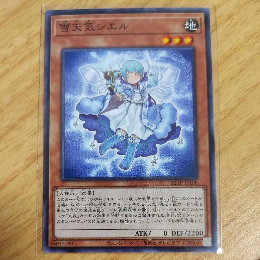 The Weather Painter Snow Normal JP108