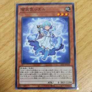 The Weather Painter Snow Normal JP108