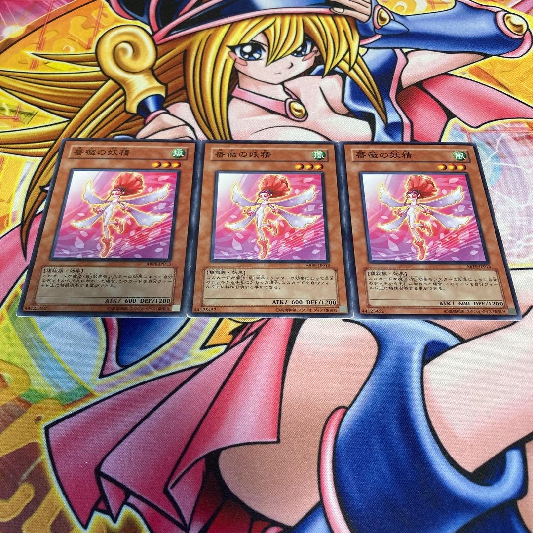 Rose Fairy with scratches, normal JP013