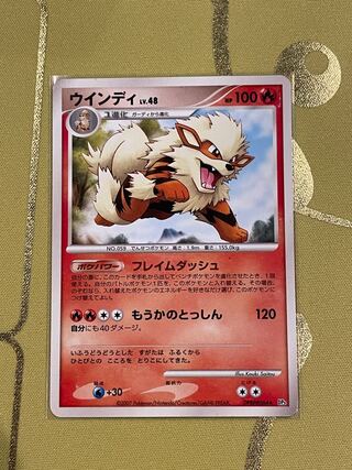 Arcanine Lv.48