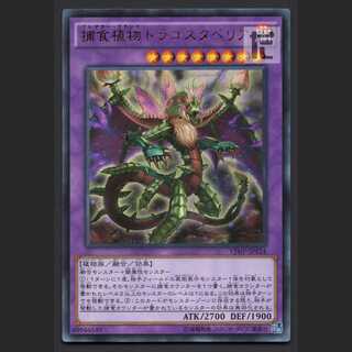 Predaplant Dragostapelia [Near] Ultra/Managed by MY0524