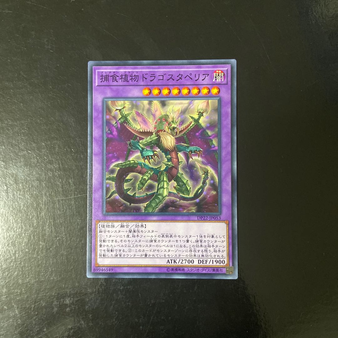 Predaplant Dragostapelia Normal JP053