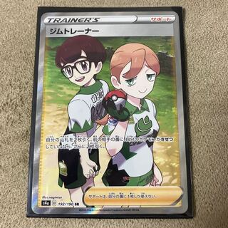 Gym Trainer SR 192/190