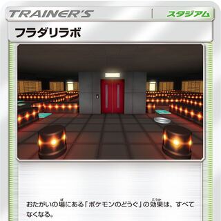 【傷あり、プレイ用】フラダリラボ