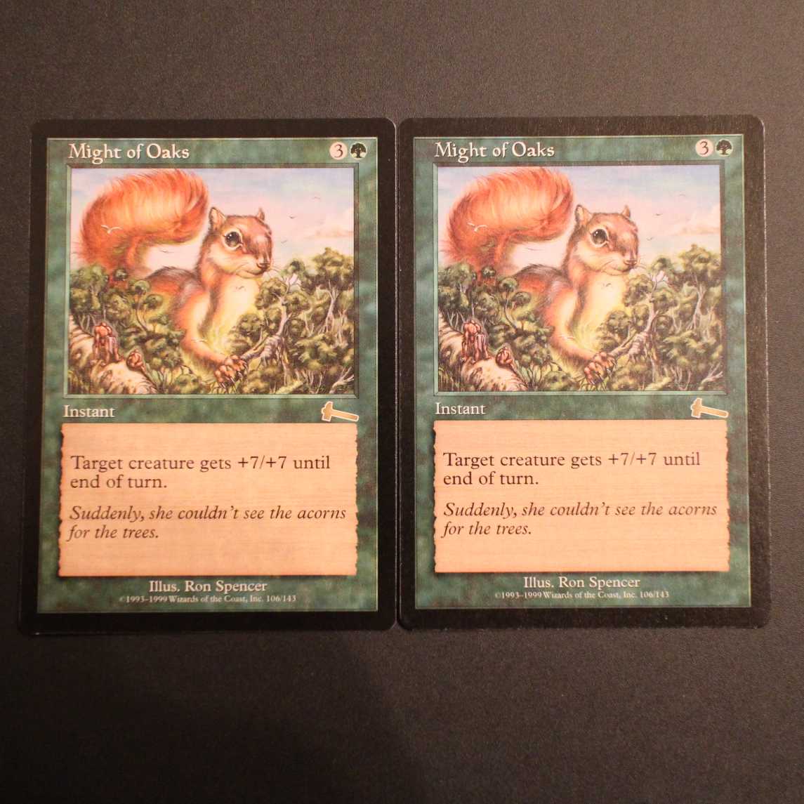 ULG【樫の力】英語 2枚セット