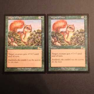 ULG【樫の力】英語 2枚セット