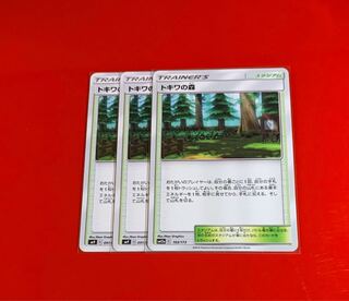 トキワの森  3枚