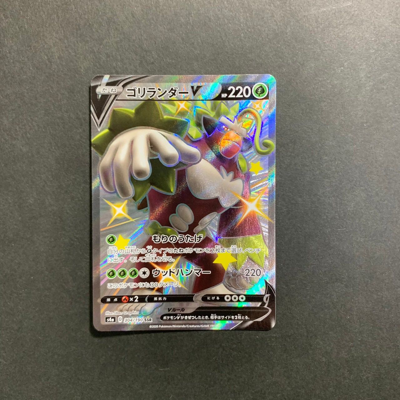 ゴリランダーV SSR 304/190