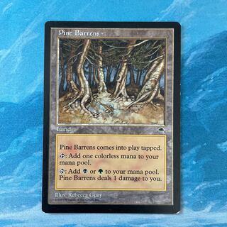 MTG Pine Barrens