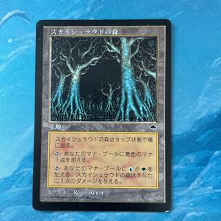 MTG Skyshroud Forest