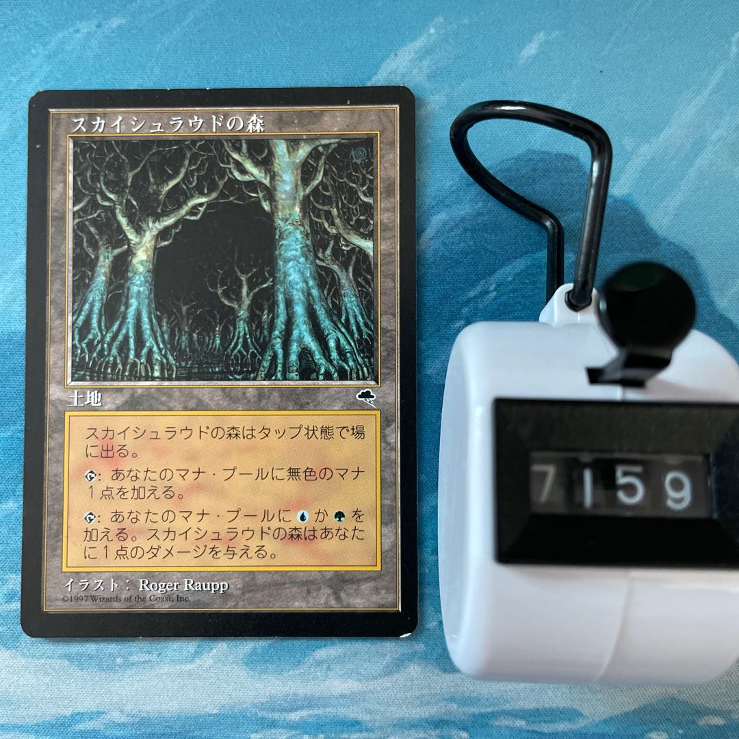 MTG Skyshroud Forest