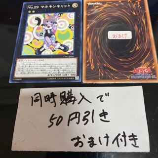 Number 29: Mannequin Cat Normal rare JP041 22581