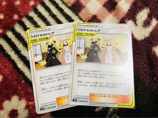 シロナ&カトレア