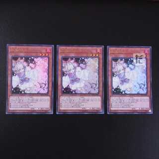 Ash Blossom & Joyous Spring Ultra 3-piece set/Managed by MY0553