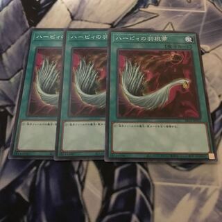 ハーピィの羽根帚 ノーマル JP032