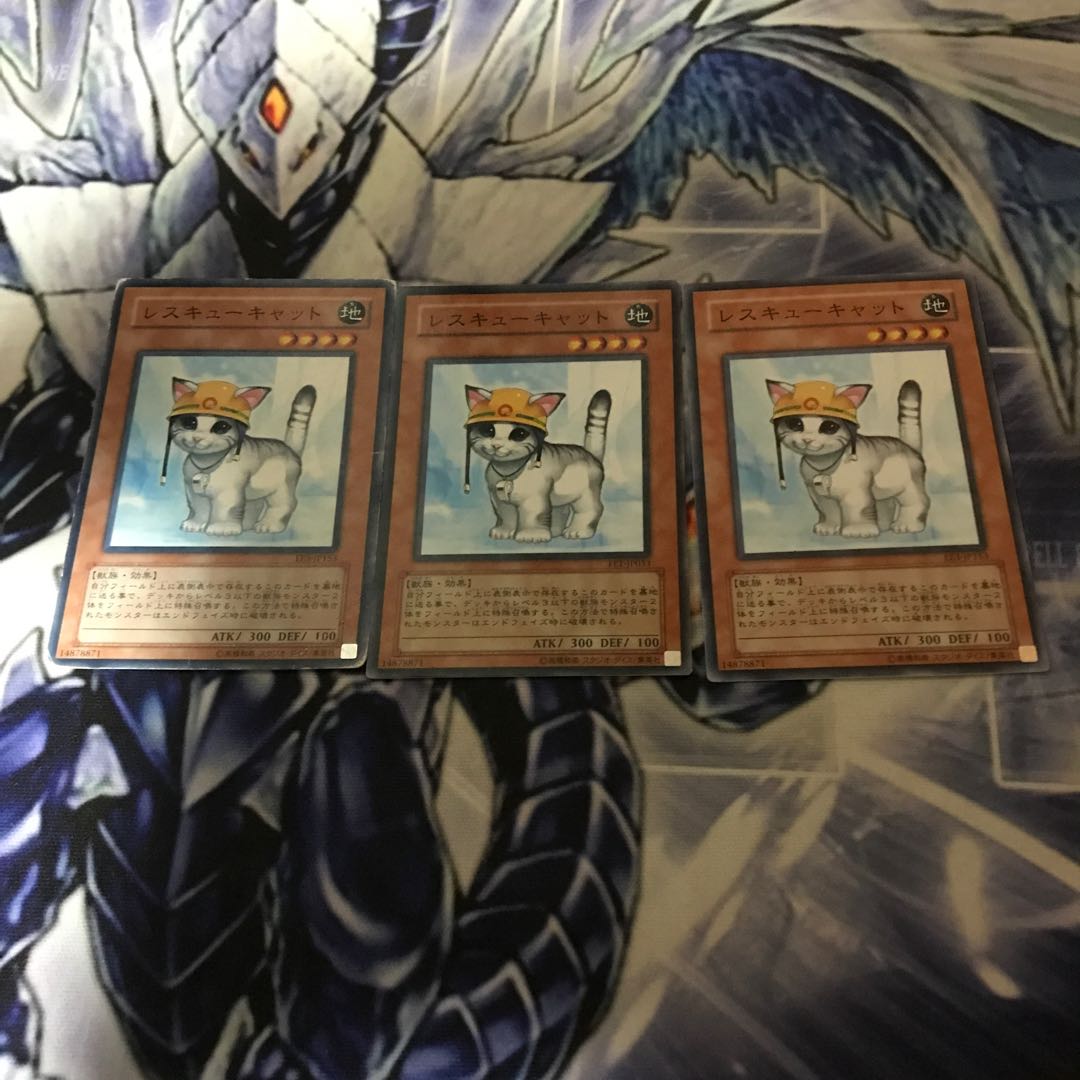 Rescue Cat Normal JP153