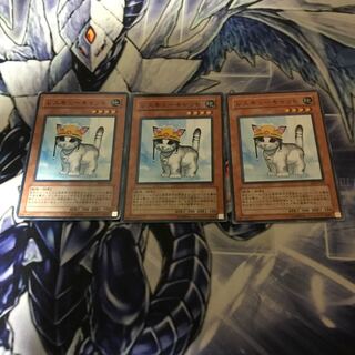 Rescue Cat Normal JP153