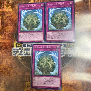 Yu-Gi-Oh ★Naturia Sacred Tree★Normal 3 Cards