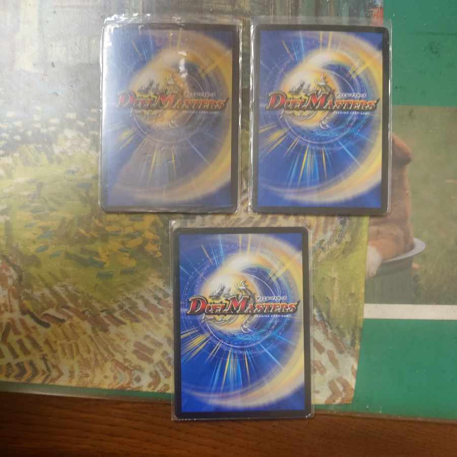 神出鬼没 ピットデル R 13/84