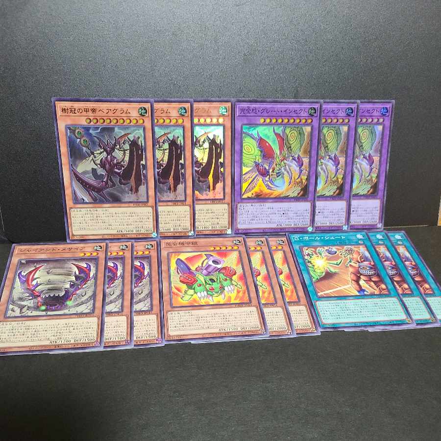 Great Insects of Beagram Integrity